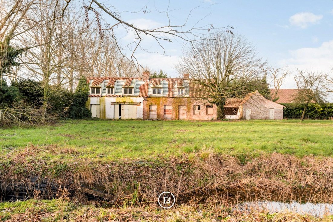 House in Damme, Flanders, Belgium 5 - 17254105