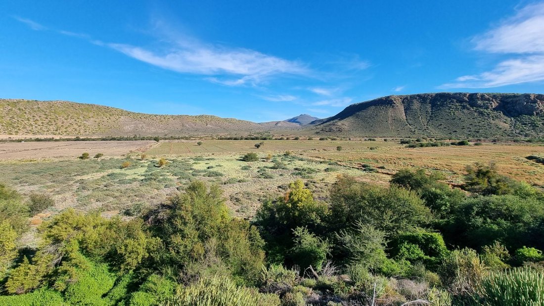 Farm Ranch in Johannesburg, Gauteng, South Africa 4 - 17253185