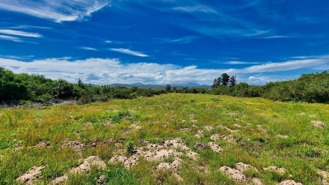Farm Ranch in Johannesburg, Gauteng, South Africa 1 - 17251152