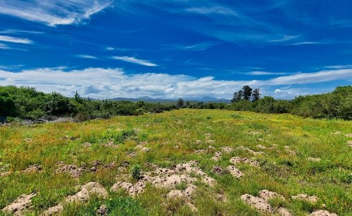Farm Ranch in Sedgefield, Western Cape, South Africa 1