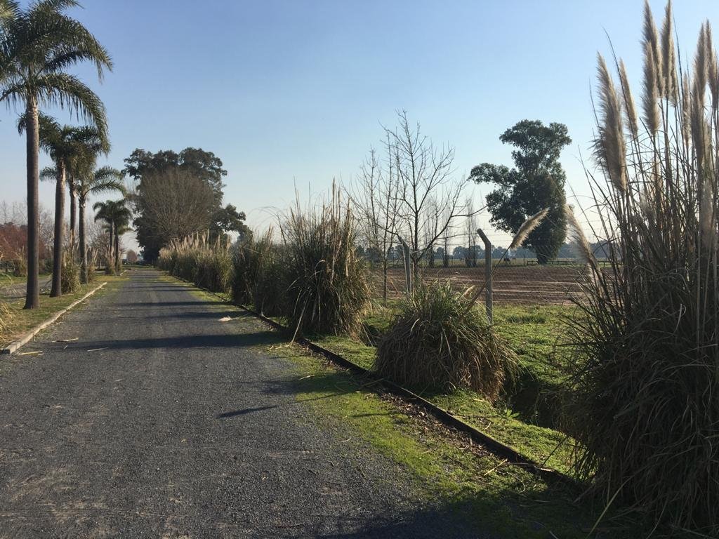 Farm Ranch in General Rodríguez, Buenos Aires Province, Argentina 3 - 17251174