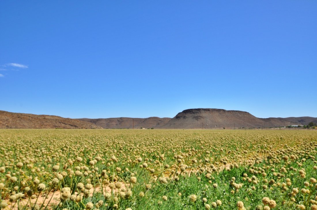 Farm Ranch in Ladismith, Western Cape, South Africa 2 - 17253629
