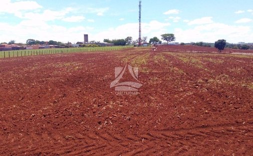 Land in Bonfim Paulista, State of São Paulo, Brazil 1