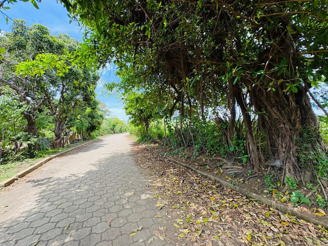 Land in Valentín Barrios, Managua, Nicaragua 1 - 17250045