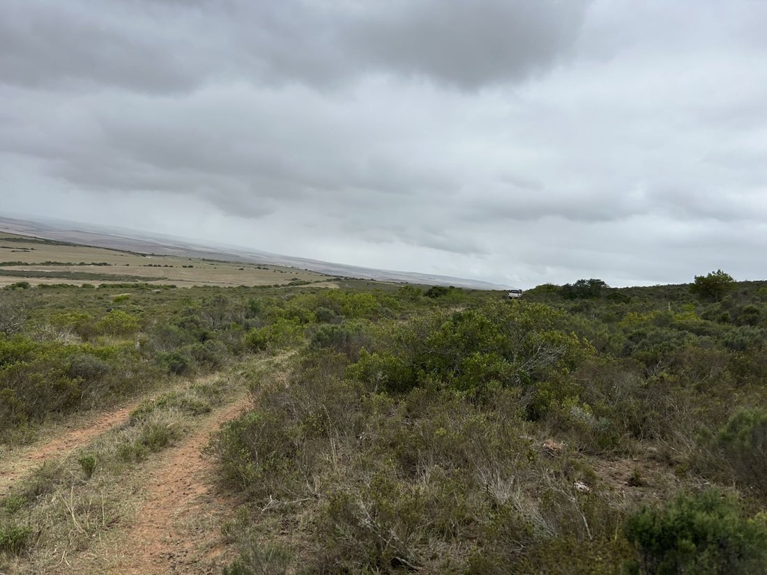 Farm Ranch in Johannesburg, Gauteng, South Africa 4 - 17252064