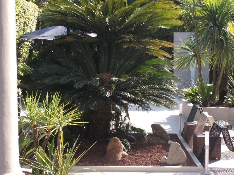 Villa in Center, Forte dei Marmi, Tuscany 2 - 17254346