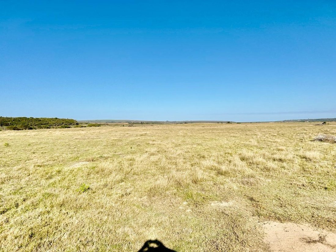 Farm Ranch in Johannesburg, Gauteng, South Africa 4 - 17251165