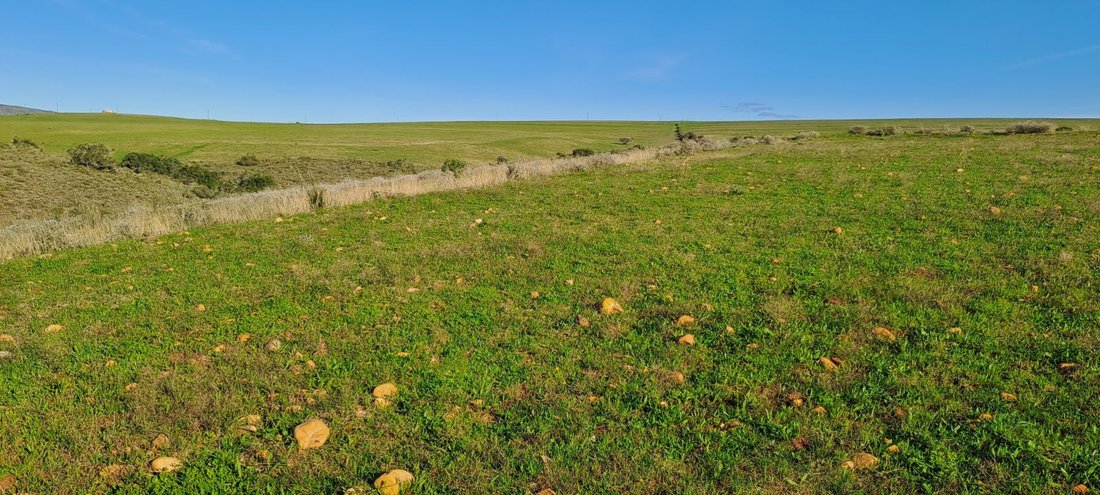 Azienda agricola a Mossel Bay Central, Provincia del Capo Occidentale, Sudafrica 4 - 17252193