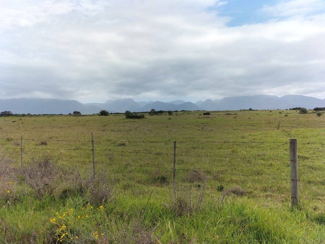 Farm Ranch in Groot Brakrivier, Western Cape, South Africa 4 - 17253323