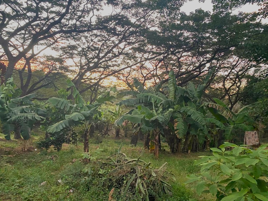 Land in Managua, Managua, Nicaragua 4 - 17250449