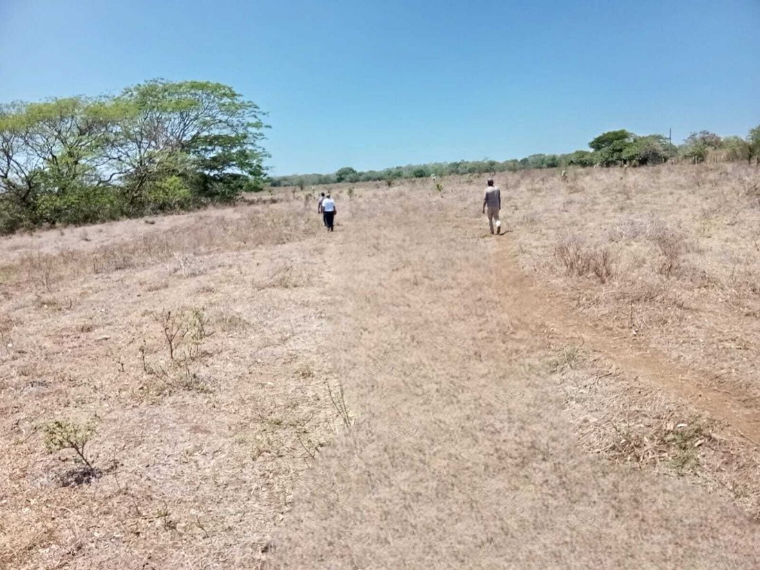 Farm Ranch in Los Navarrete, Managua, Nicaragua 3 - 17250113