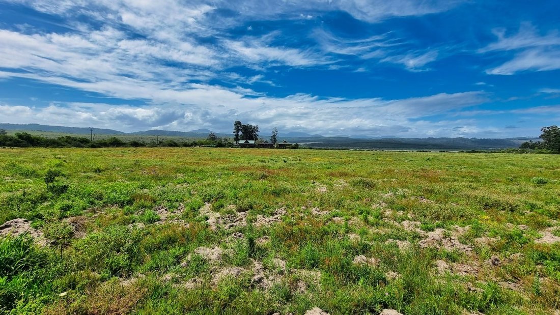 Farm Ranch in Johannesburg, Gauteng, South Africa 1 - 17253654