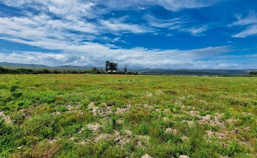 Farm Ranch in Sedgefield, Westkap, Südafrika 1