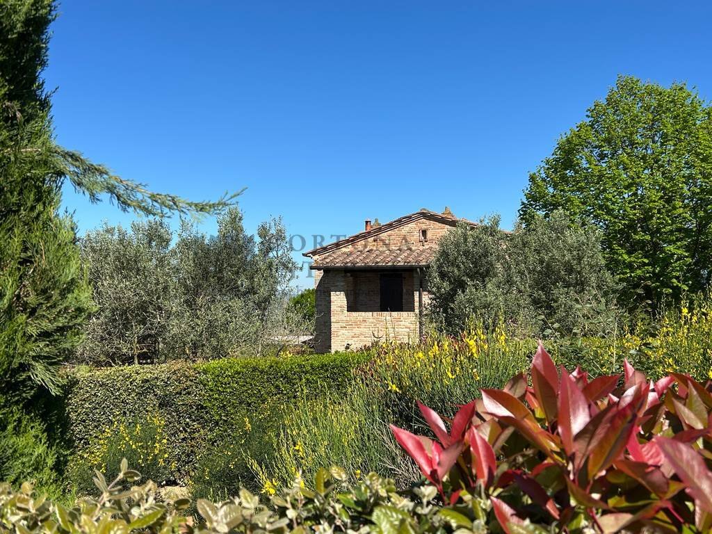 Montecchio - San Lorenzo - Creti, Cortona, Tuscany 4 - 17255894