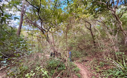 Land in Tola, Rivas, Nicaragua 1