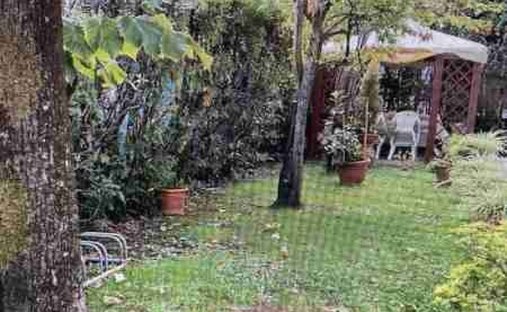 Villa in Center, Forte dei Marmi, Tuscany 1