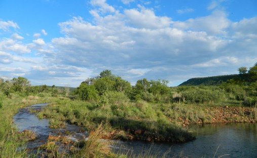 Land in Modimolle, Limpopo, South Africa 1