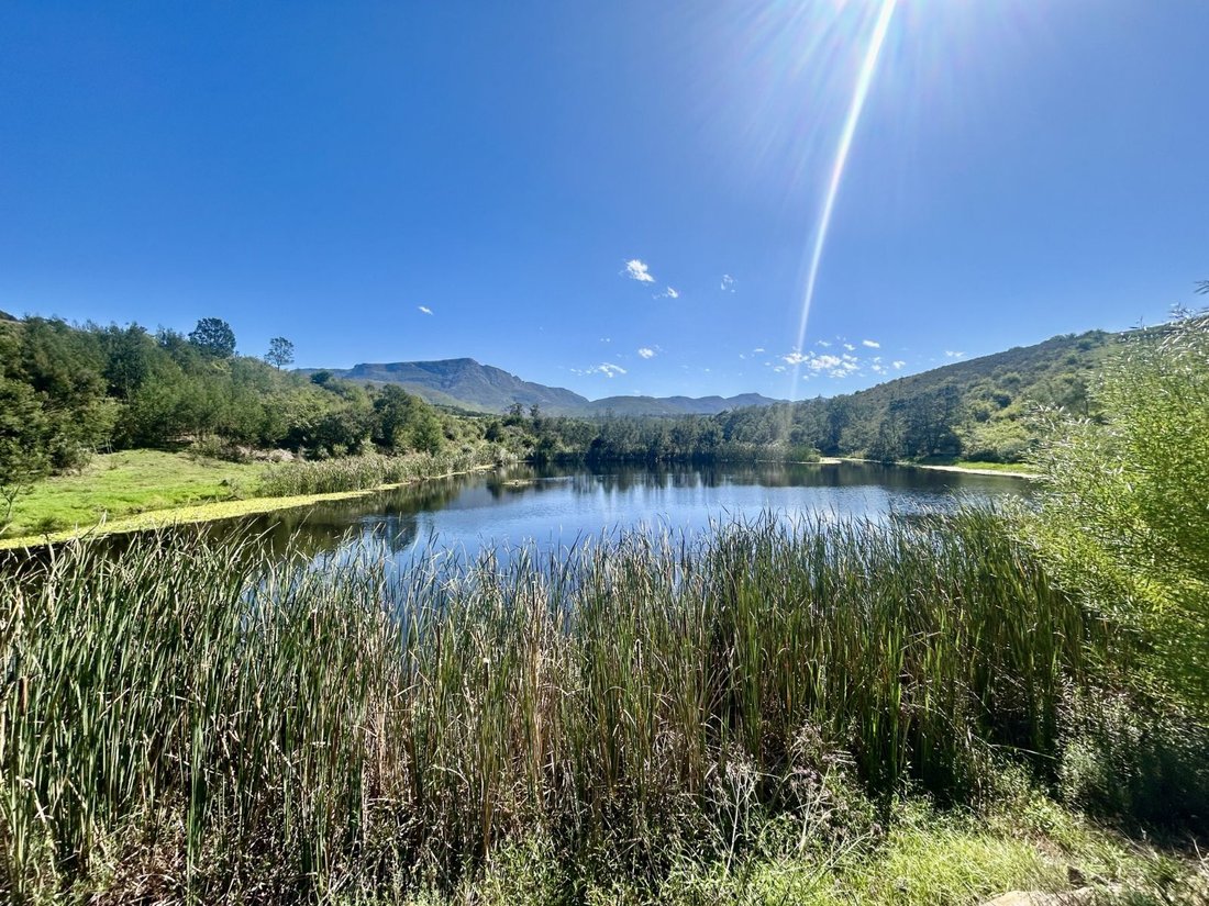 Farm Ranch in Johannesburg, Gauteng, South Africa 2 - 17252307