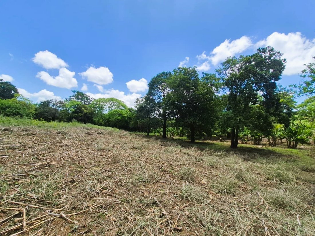 Land in Managua, Managua, Nicaragua 2 - 17249489