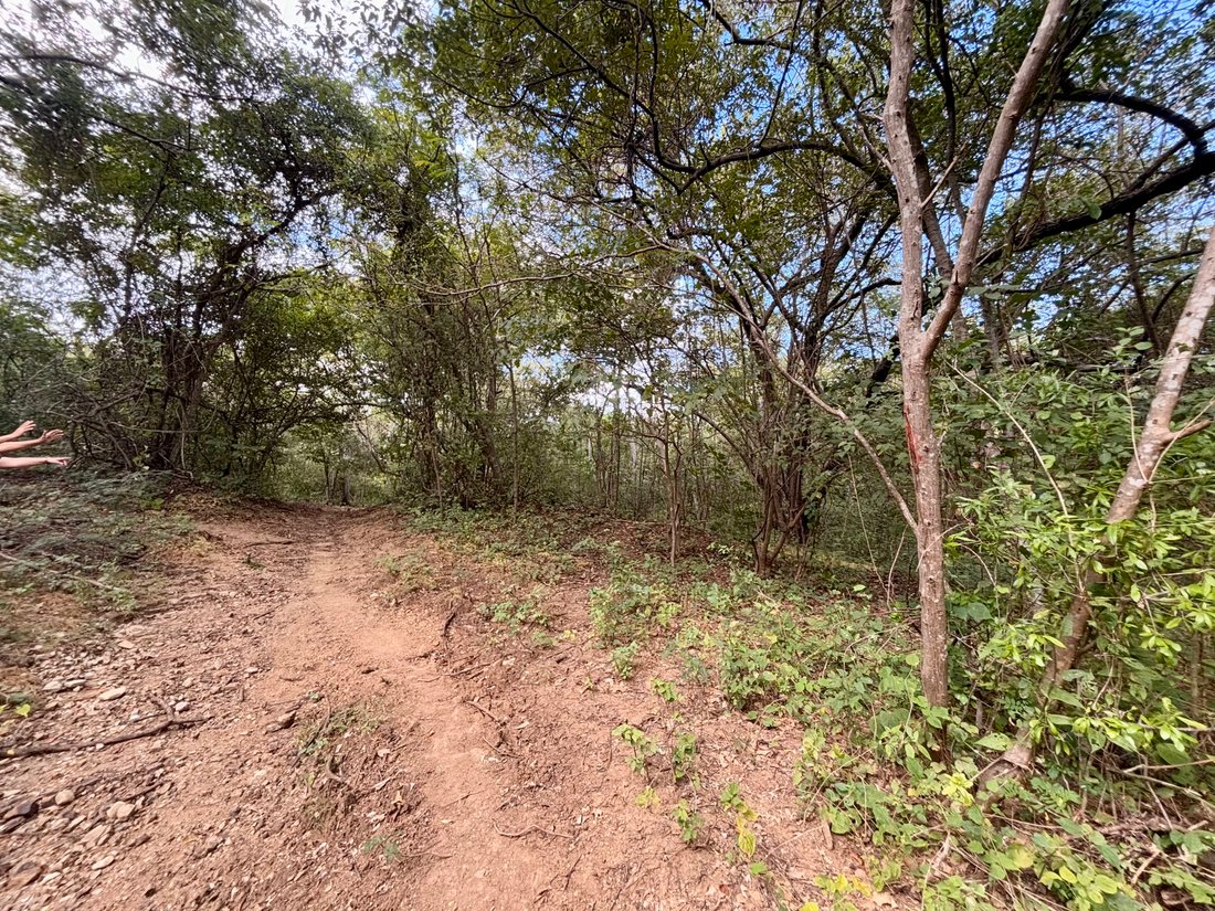 Land in El Astillero, Rivas, Nicaragua 2 - 17250717