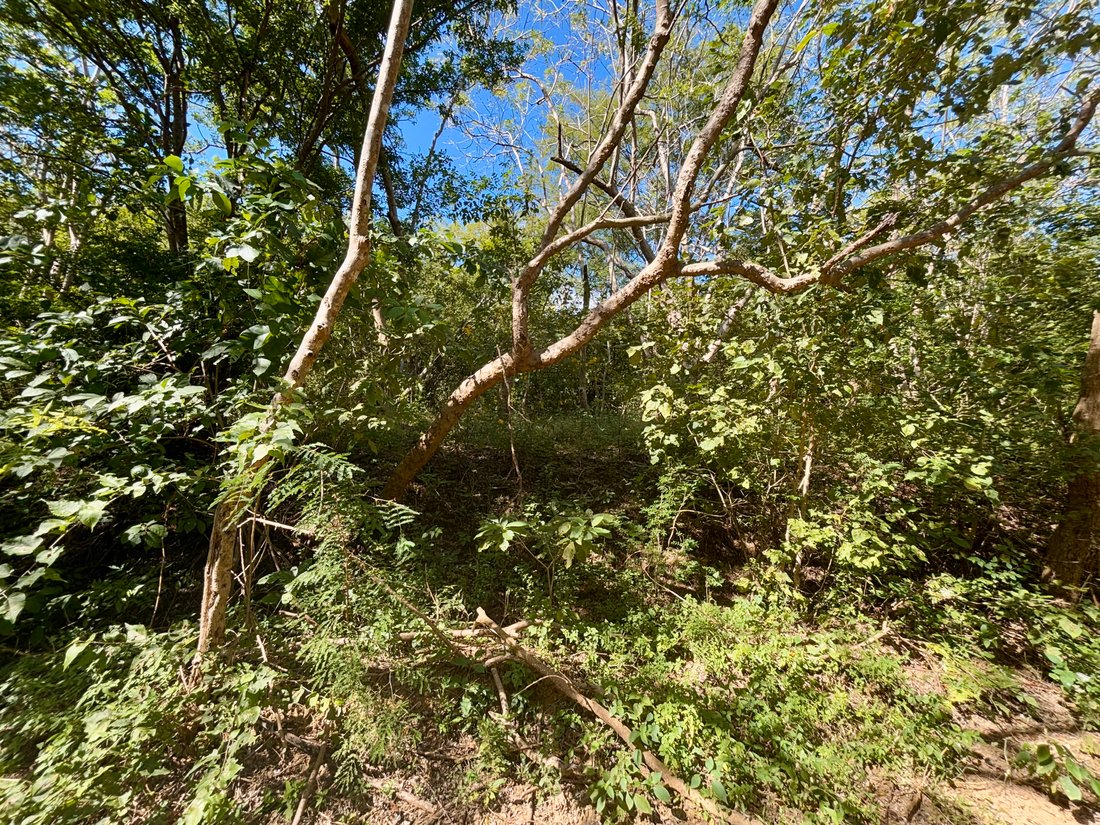 Land in El Astillero, Rivas, Nicaragua 2 - 17250586