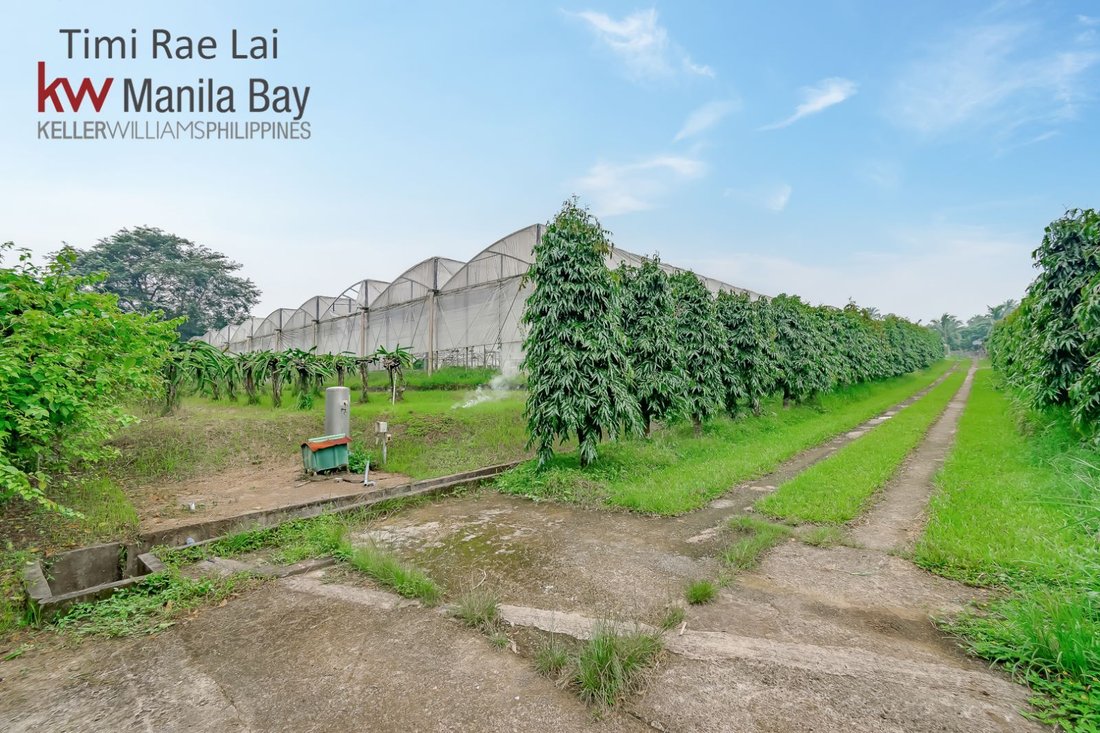 Farm Ranch in Alfonso, Calabarzon, Philippines 1 - 17252692