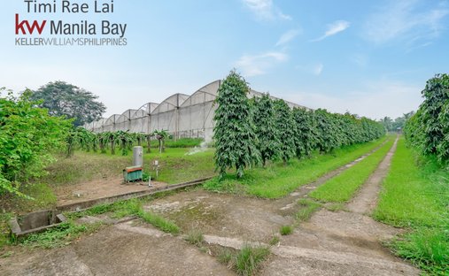 Azienda agricola a Alfonso, CALABARZON, Filippine 1