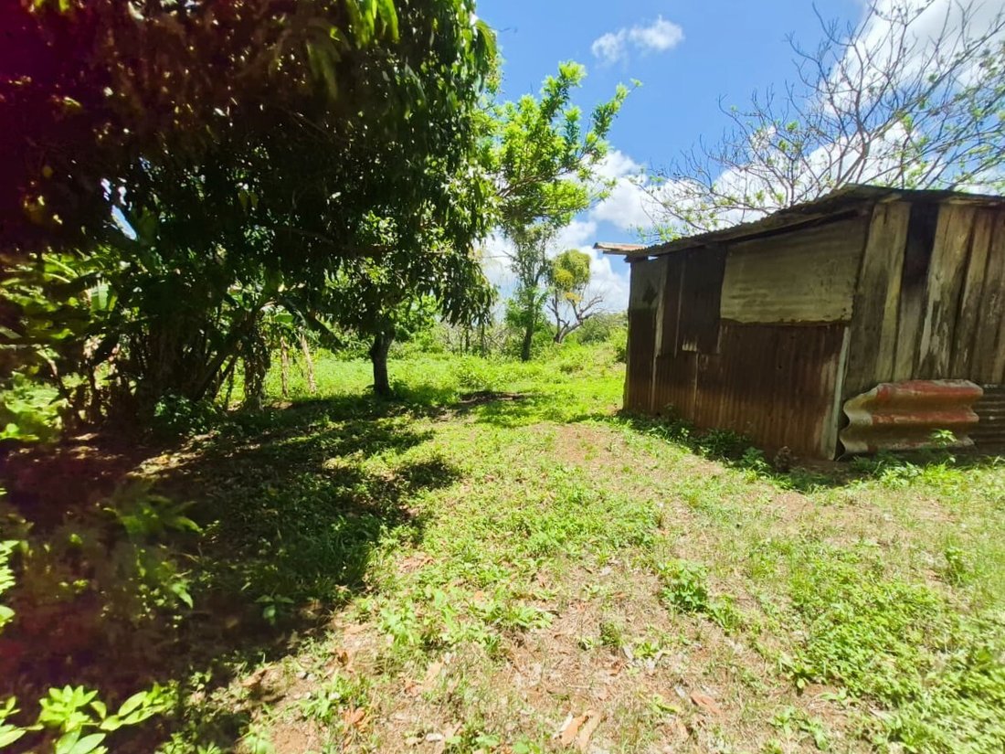 Land in Managua, Managua, Nicaragua 4 - 17249489