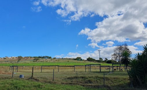 Azienda agricola a Johannesburg, Gauteng, Sudafrica 1