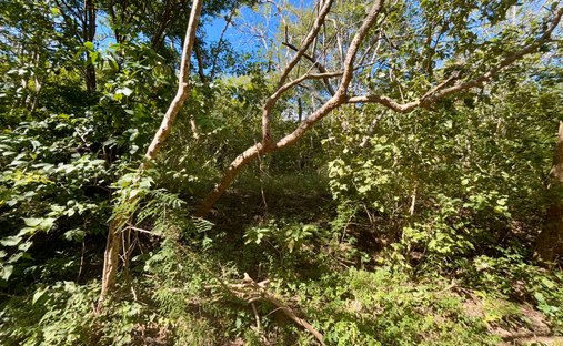 Land in El Astillero, Rivas, Nicaragua 1