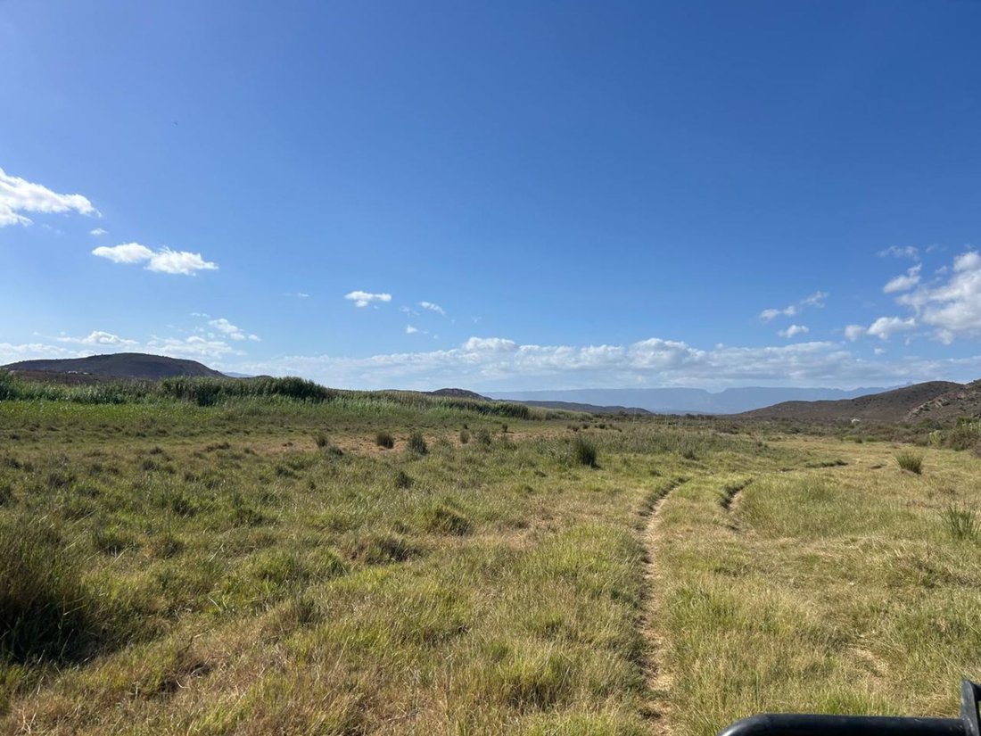 Farm Ranch in Johannesburg, Gauteng, South Africa 2 - 17249101