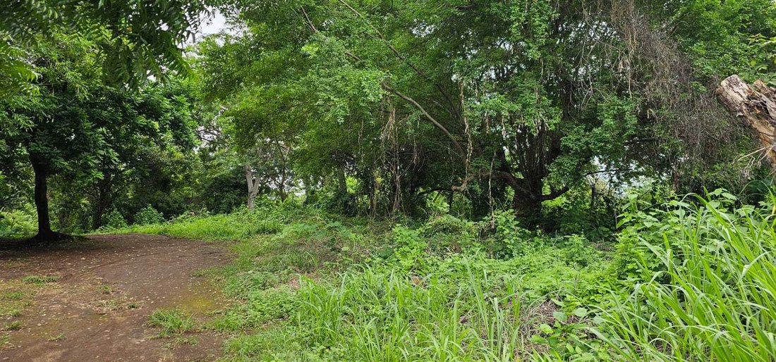 Land in Los Madrigales, Masaya, Nicaragua 5 - 17249863