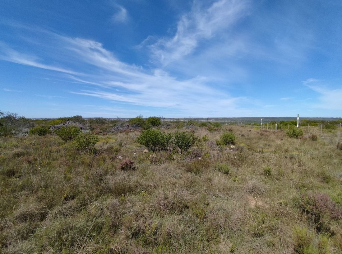 House in Vyf Brakke Fonteinen, Western Cape, South Africa 1 - 17253510