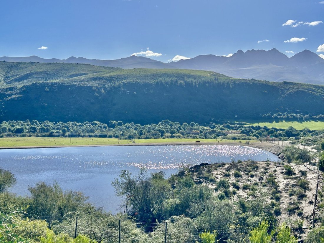 Rancho en George Central, El Cabo Occidental, Sudáfrica 5 - 17252353