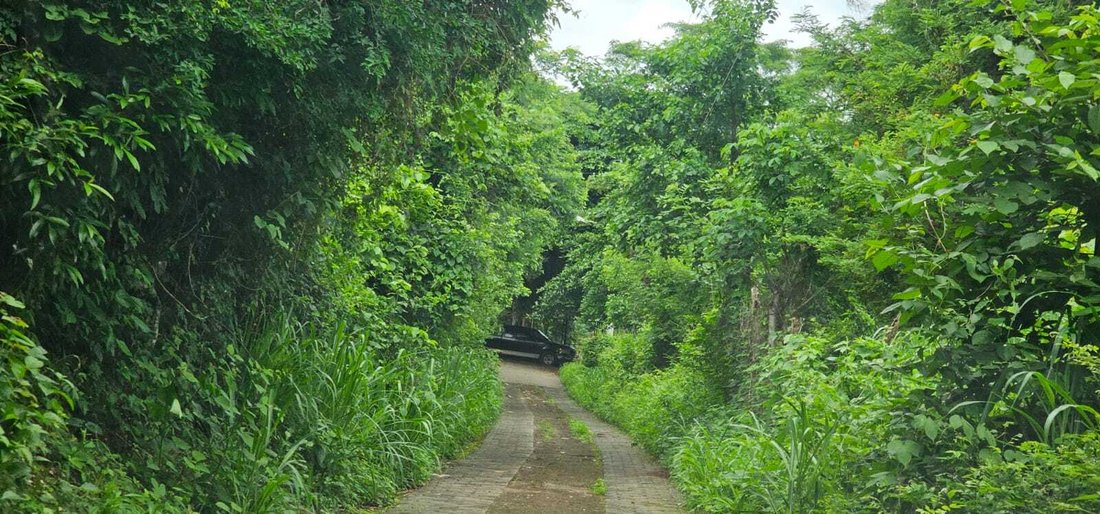 Land in Los Madrigales, Masaya, Nicaragua 3 - 17249863