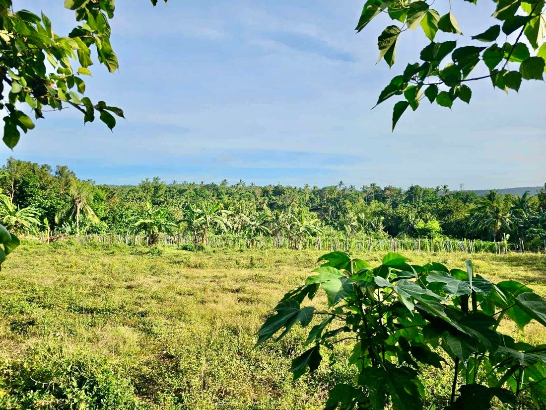 Land in Tanauan City, Calabarzon, Philippines 4 - 17251813