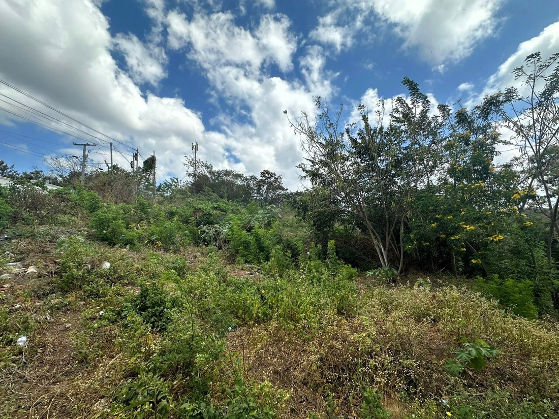 Land in Managua, Managua, Nicaragua 5 - 17249463