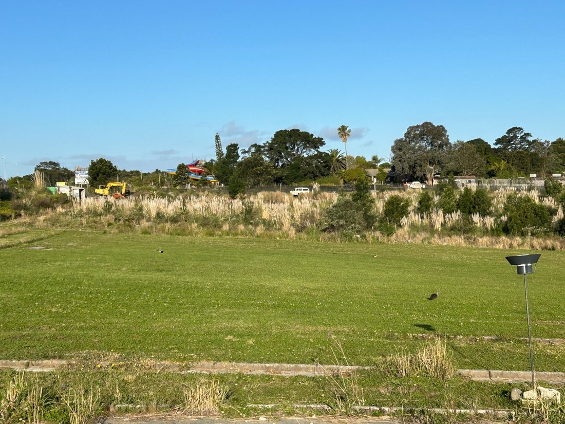 Farm Ranch in Johannesburg, Gauteng, South Africa 4 - 17251211