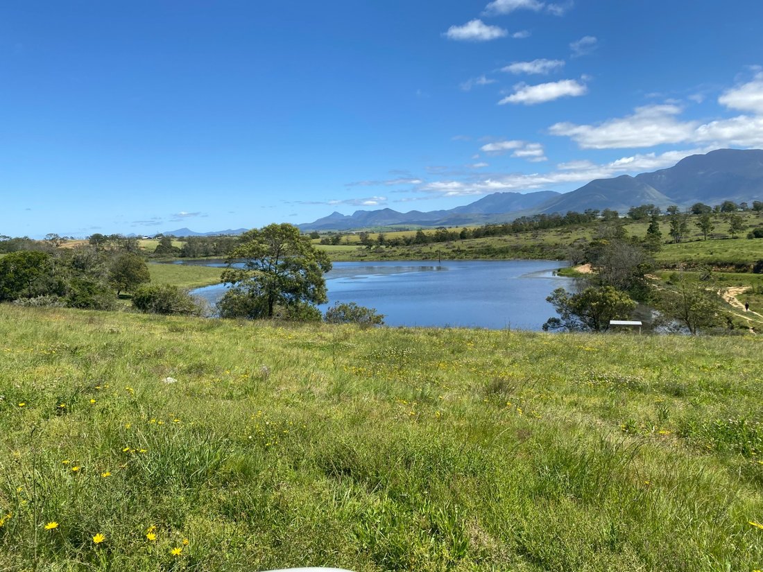 Farm Ranch in George, Western Cape, South Africa 5 - 17253685