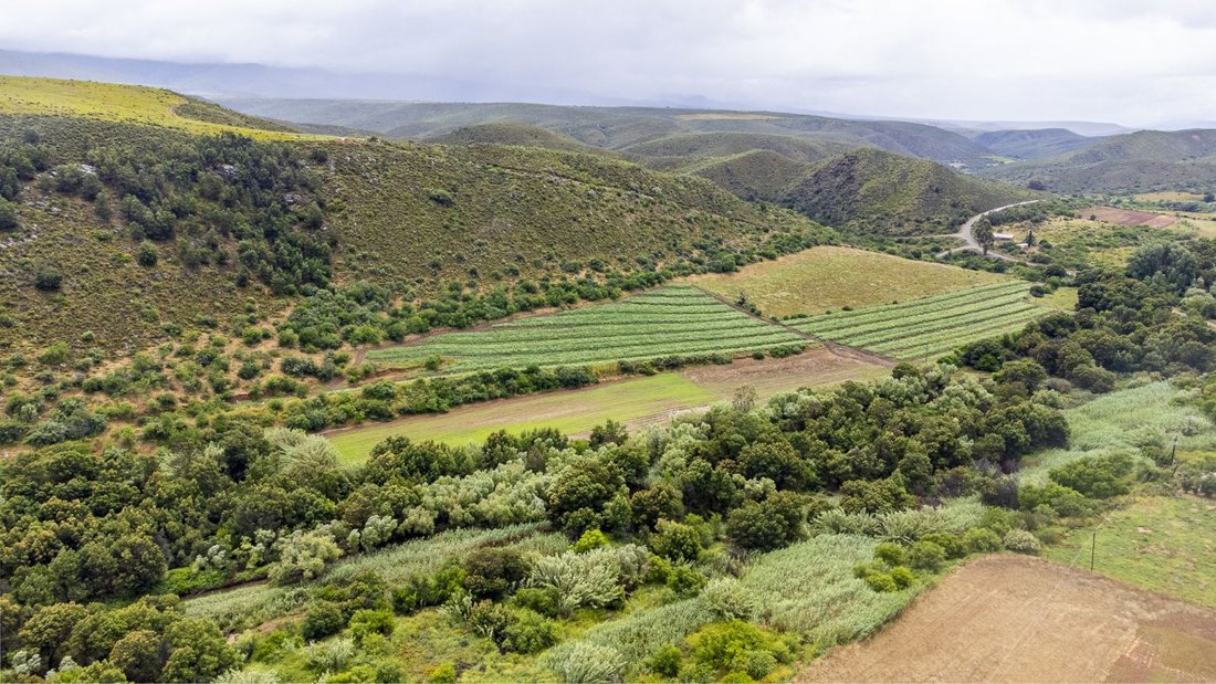 Rancho en George Central, El Cabo Occidental, Sudáfrica 1 - 17252353