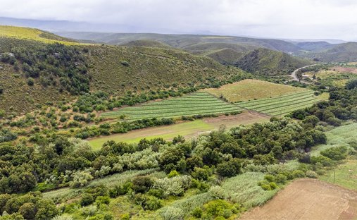 Farm Ranch in George Central, Western Cape, South Africa 1