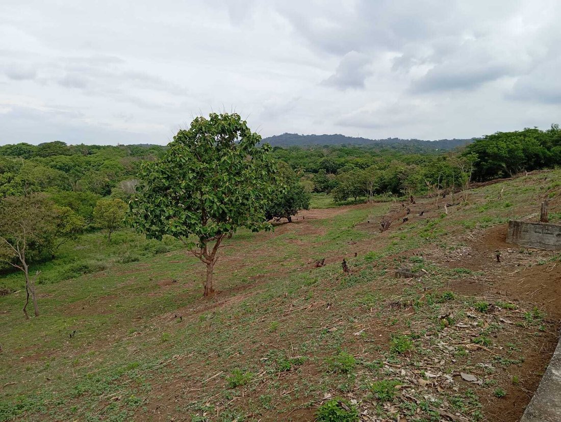 Farm Ranch in Managua, Managua, Nicaragua 1 - 17250091
