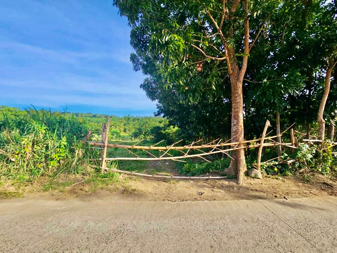 Land in Tanauan City, Calabarzon, Philippines 3 - 17251813