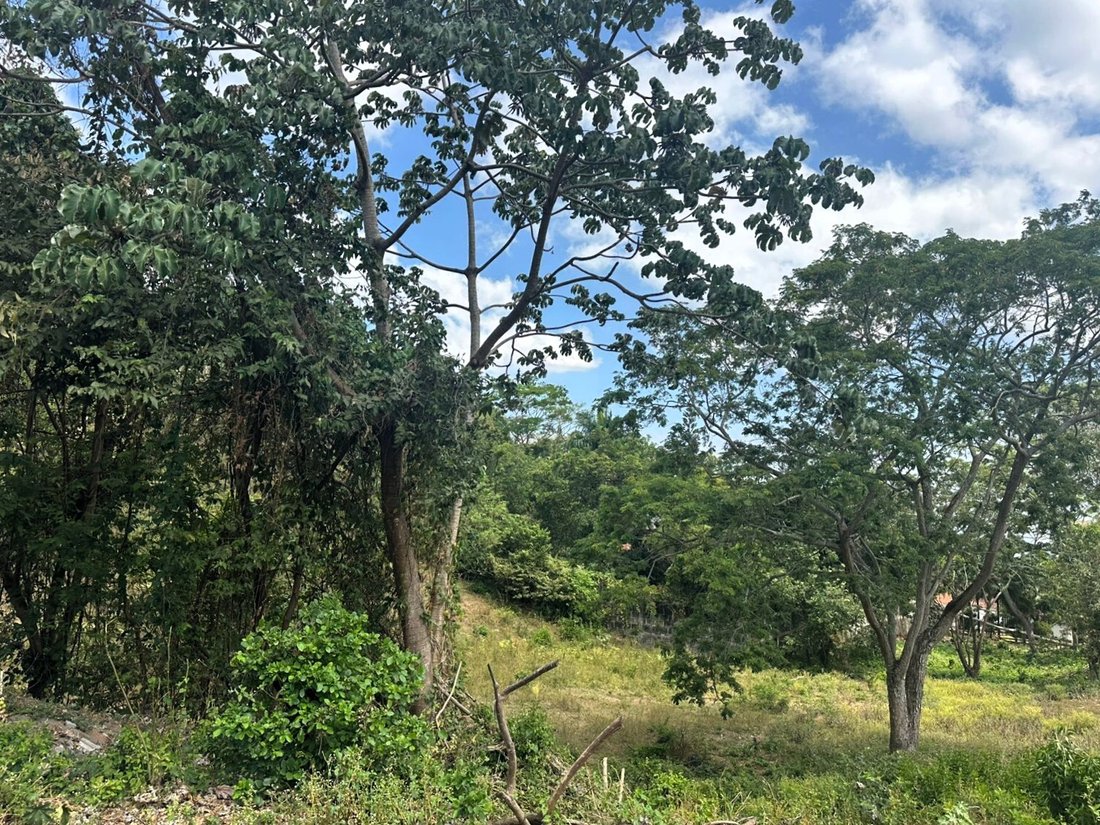 Land in Managua, Managua, Nicaragua 4 - 17249463