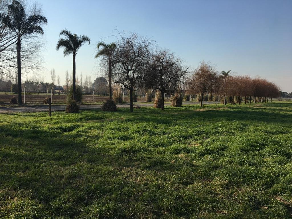 Farm Ranch in General Rodríguez, Buenos Aires Province, Argentina 2 - 17251174
