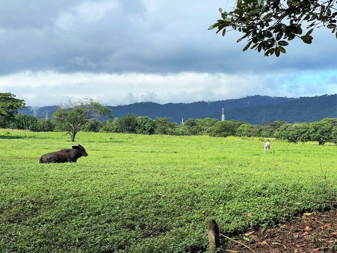 Land in Valentín Barrios, Managua, Nicaragua 3 - 17249040