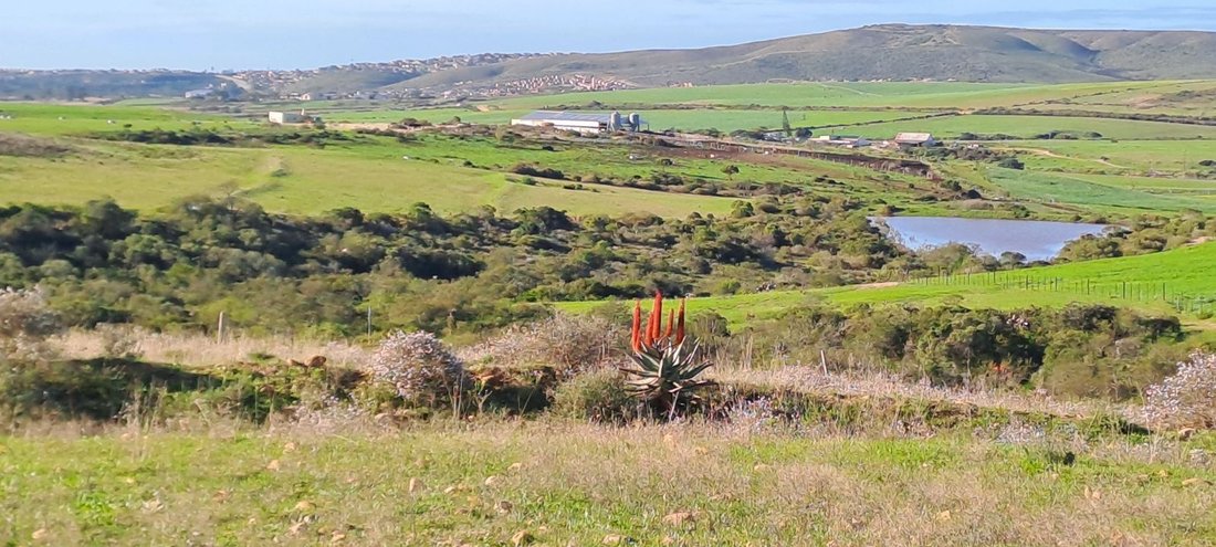Azienda agricola a Mossel Bay Central, Provincia del Capo Occidentale, Sudafrica 5 - 17252193