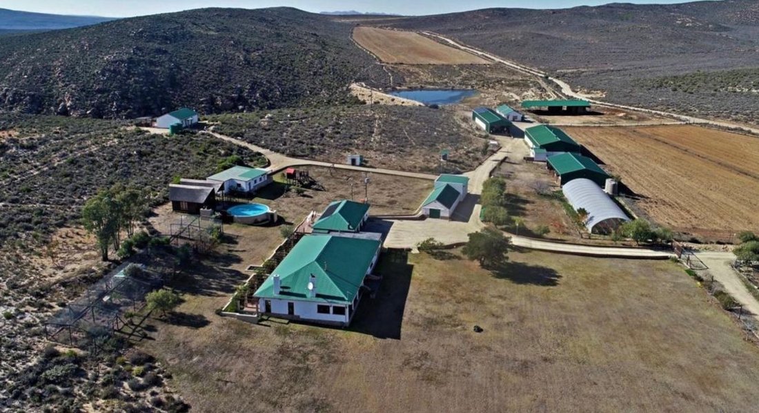 Farm Ranch in Uniondale, Western Cape, South Africa 1 - 17251300