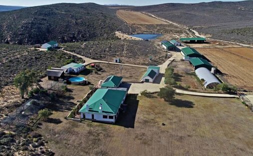 Azienda agricola a Johannesburg, Gauteng, Sudafrica 1