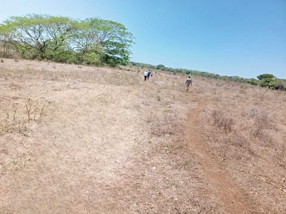 Farm Ranch in Los Navarrete, Managua, Nicaragua 4 - 17250113